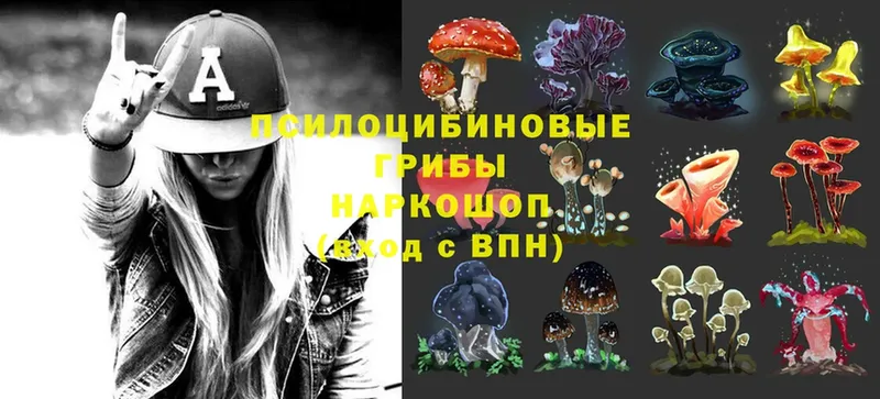 Галлюциногенные грибы Psilocybine cubensis Гулькевичи